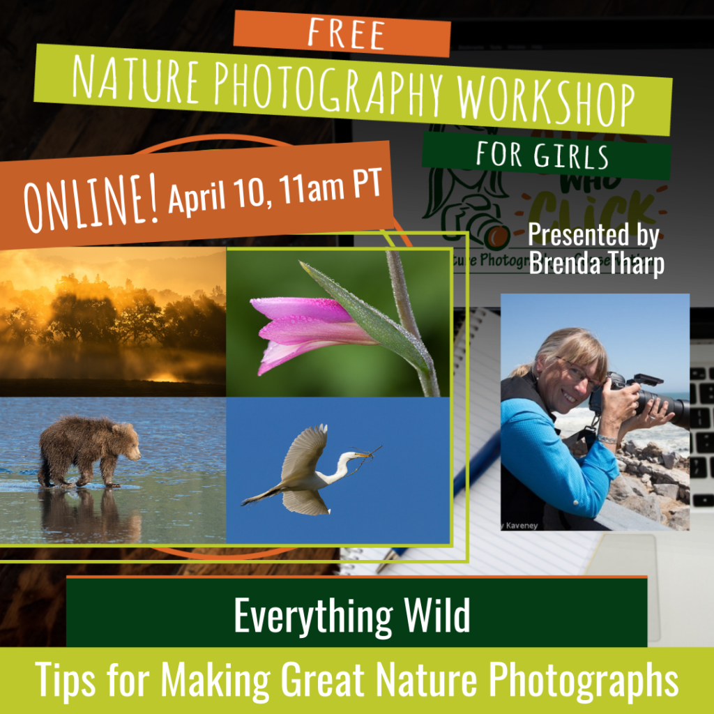 Free online photography workshop with Brenda Tharp