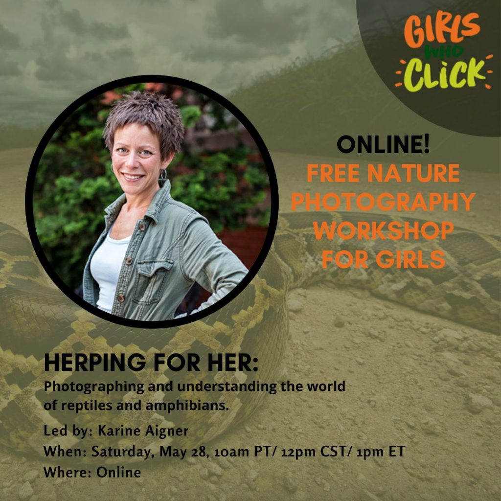 Free Herping For Her: Photographing and Understanding the World of ...